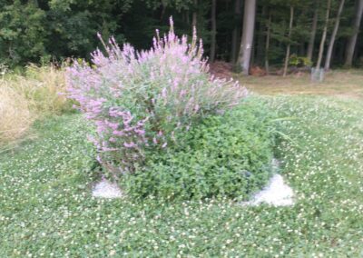 Ptujska cesta, Gornja Radgona