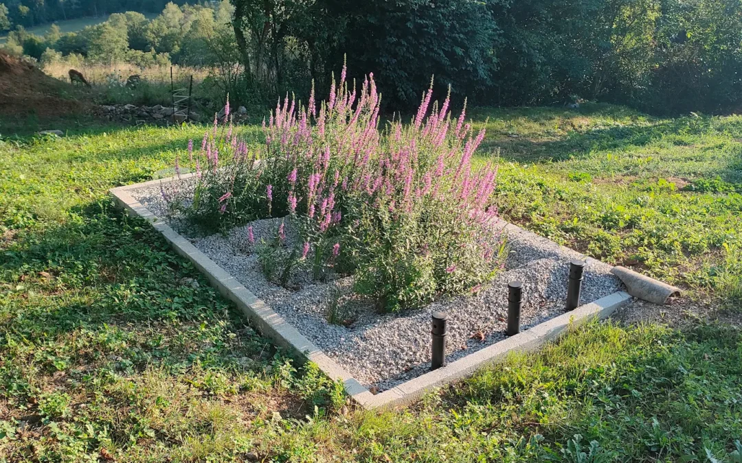 Visejec, Žužemberk